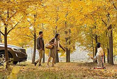 玩家怒喷《暗黑4》：服务器太烂了 我们要离线模式